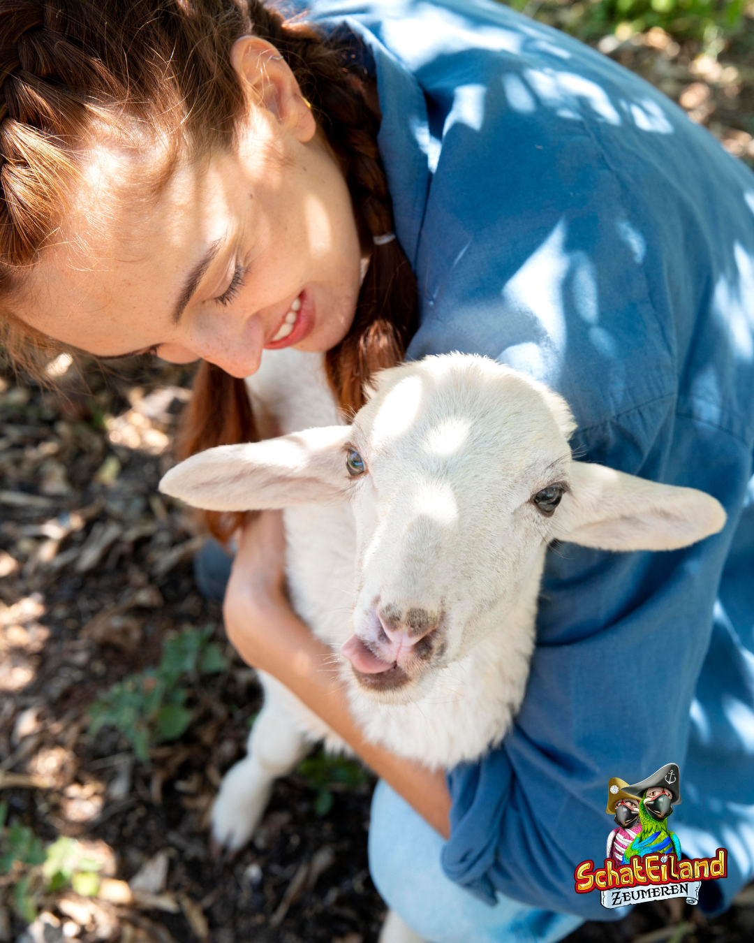 Dierenweken op DierenEiland bij Schateiland Zeumeren